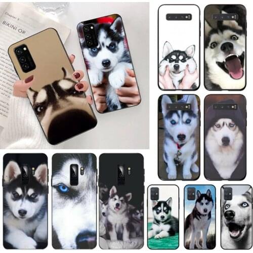 Animal Husky cute Puppy Dog Black TPU Soft Phone Case for Samsung S20 plus Ultra S6 S7 edge S8 S9 plus S10 5G lite 2020