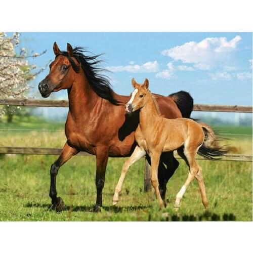 Full Square/Round Drill 5D DIY Diamond Painting "Animal Horse" 3D Rhinestone Embroidery Cross Stitch 5D Home Decor Gift