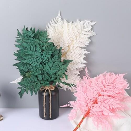 Dried Natural Fresh Plant Eternal Dry Fern Leaves Christmas Wedding Party Arrangement Flower Home Room Decoration Accessories
