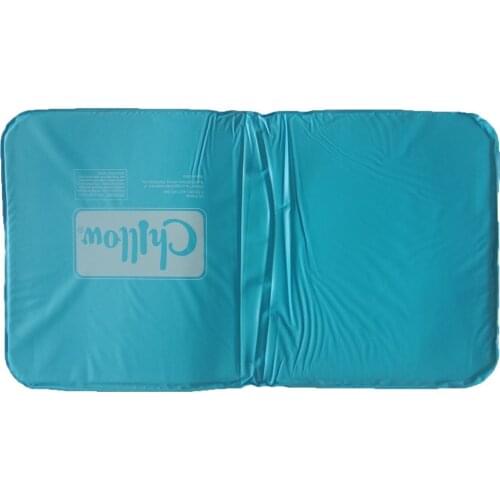 Summer Cold Therapy Insert Sleeping Aid Pad Mat Muscle Relief Cooling Pillow Sleep Pillow Cushion+Pillowcover For Home Beddings