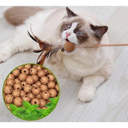 Cat Toy Cat Wand Catcher Clean Teeth Scratching Play Interactive Toy Pet