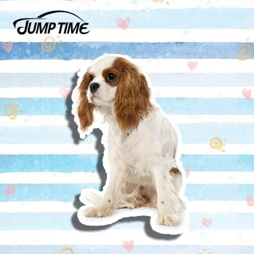 Jump Time 13cm x 8.4cm Dog Pet Car Sticker King Charles Spaniel Vinyl Sticker Laptop Travel Luggage Waterproof Car Accessories
