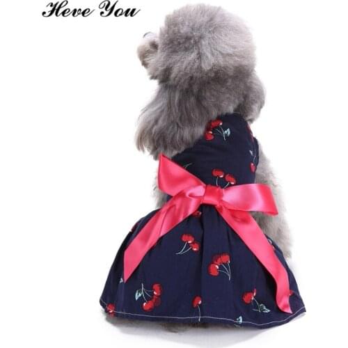 Heve You Clothes for Small Dogs New Year Dog Dress Pet Ladylike Skirt Dog Costume Puppy Chihuahua Clothes for Pet Supplies XS~L