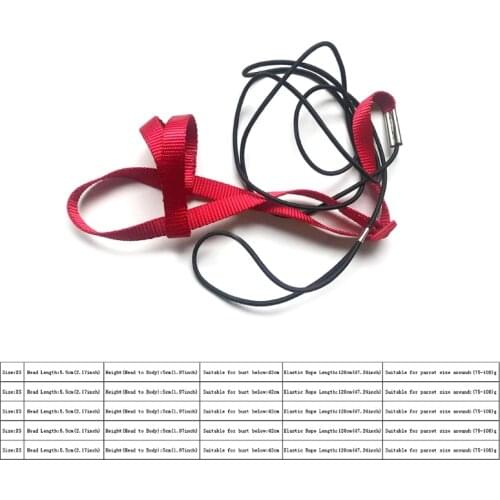 Parrot Bird Harness Leash Adjustable Anti-Bite Training Flying Traction Rope