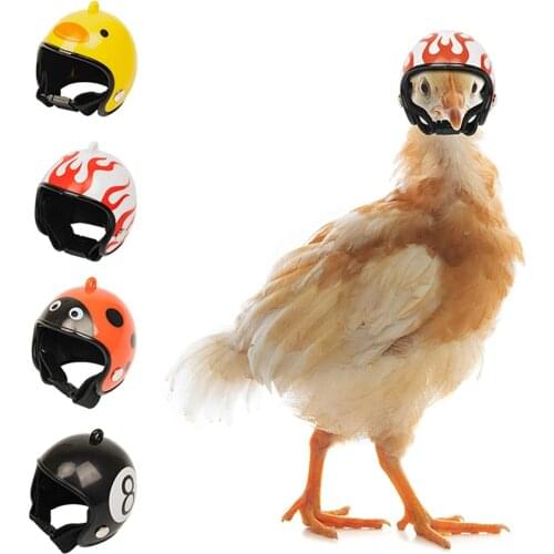 Chicken Bird Head Protection Helmet Bird Hat Funny Pet Helmet Clothing Accessories Chicken Bird Toy Pet Safety Helmet L3