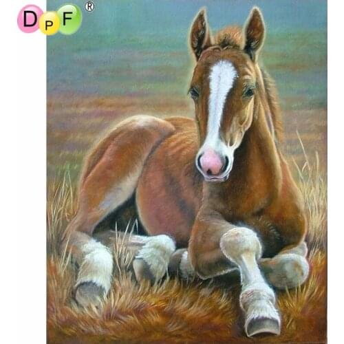 DPF DIY 5D crafts diamond painting cross stitch needlework grass horse diamond mosaic square home decor diamond embroidery gift