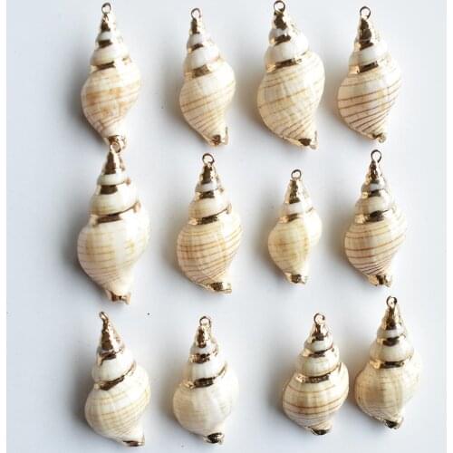 Wholesale 20pcs/lot new fashion good quality natural Shell Conch Charms Pendants for Diy necklace bracelet Making free shipping