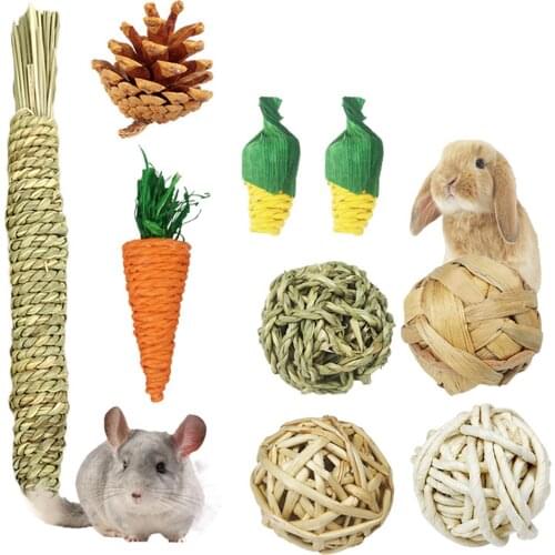 9Pcs Rabbits Toys Chew Toys Teeth Care Molar Toys for Guinea Pigs Rat Small Pet Molars Supplies Accessories