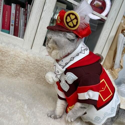 GENSHIN IMPACT KLEE VENTI COSPLAY Cute Cat Clothes, Make Your Pet Fashionable And cCute, You Deserve It