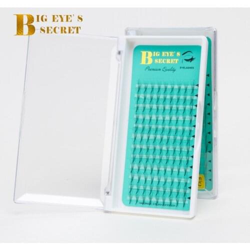 Big eyes secret 6D Lashes Premade Fans Volume Lash 6D Semi Permanent Eyelash Extension Mink Eyelashes