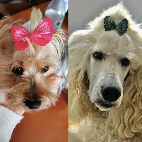 100PCS/lot Handmade Dog Bowknot Ribbon Pet Headwear Grooming Accessories Puppy Cat Yorkshire Terrier Hair Bows with Rubber Bands