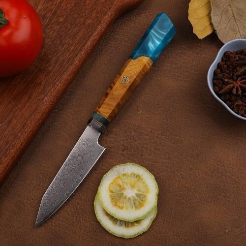 67 Layers Damascus VG10 Steel Blade Resin + White Shadow Wooden Handle Chef EDC Tool Knife