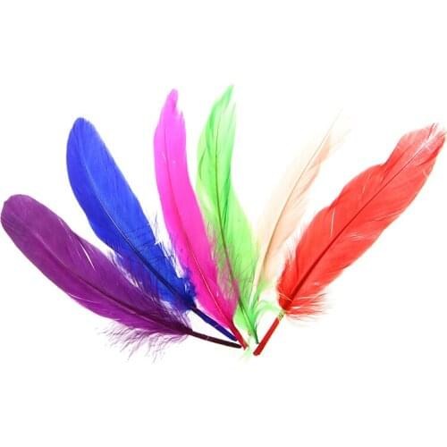 72 Pieces Craft Wild Goose Tail Wing Feather Millinery Mixed Colors 12-20cm