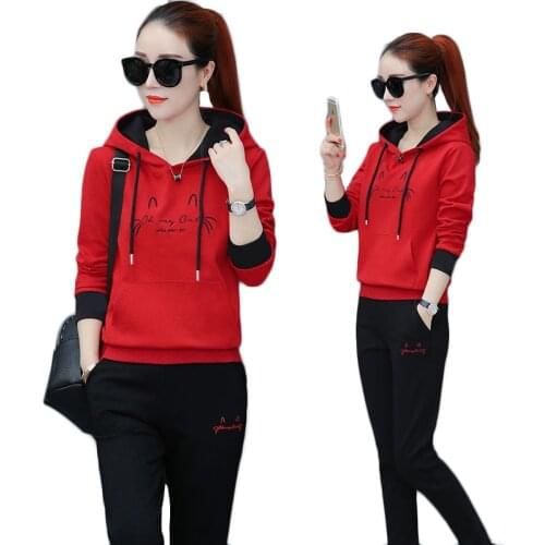 European fashion Lady clothes set Hooded Casual Sporting suit Fashion Autumn / Winter 2 piece set Plus velvet Free shipping 307