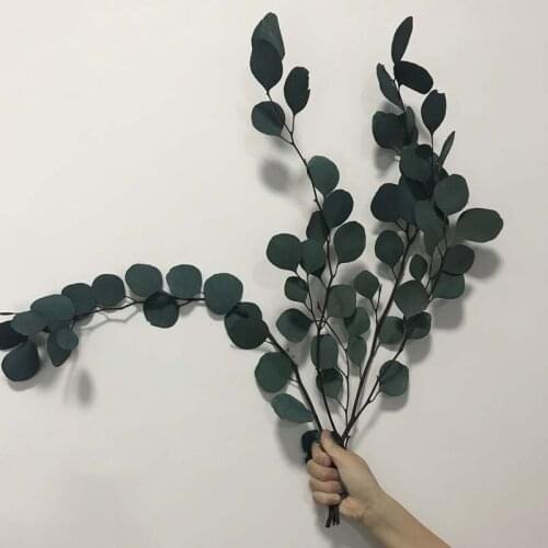 80-90g Real Dried Natural Fresh preserved Eucalyptus Branches,Decorative Forever Dry Round Leaves,Eternal Grass Coins,Home Decor