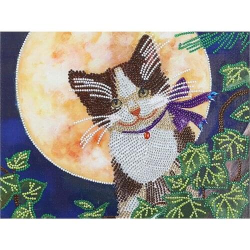 5D DIY Diamond Painting Painted Cartoon Animals Cat Mosaic Embroidery Animal Cross Stitch Embroidery Crafts Decoration