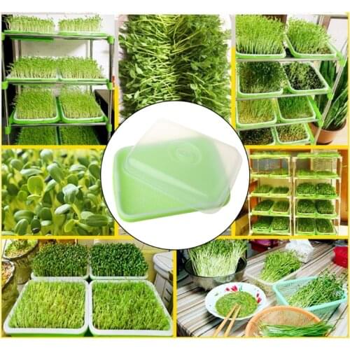 2021 New Seed Sprouter Tray BPA Free PP Soil-Free Large Capacity Healthy Wheatgrass Grower with Cover Seedling Sprout Plate
