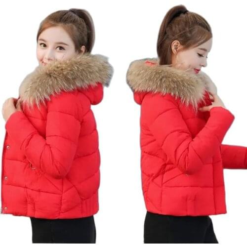 New Winter Womens Coton Coat Overcoat Parka Short Slim Ms Down Cotton Clothes Outerwear Big Fur Collar Thicken Cotton Jacket
