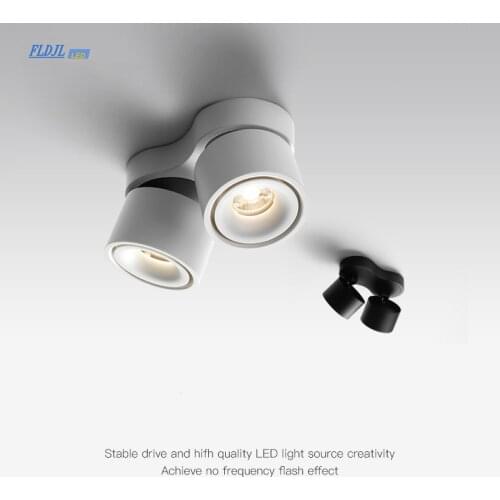 Dimmable Surface Mounted LED COB Downlight 20W/24W Rotating LED Spot Light Ceiling Lamp with LED Driver AC110V/220V