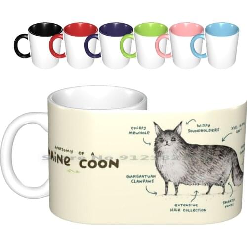 Anatomy Of A Maine Coon Ceramic Mugs Coffee Cups Milk Tea Mug Anatomy Maine Coon Maine Coon Cat Breed Kitten Meow Kitty Cat