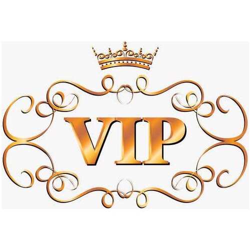 VIP Women Bowknot Fluffy Fur Ankle Boots