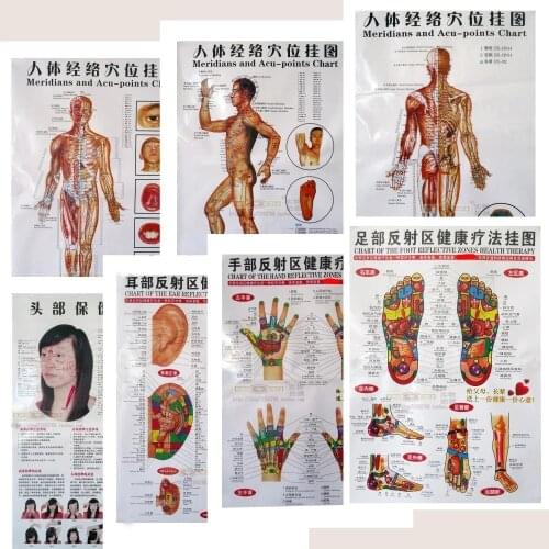 7pcs/set Acupuncture Massage Point Map Chinese&English Meridian Acupressure Points Posters Chart Wall Map For Medical Teaching