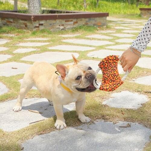 Wholesale Dog Toy Cotton Rope Bite Rope Throw Toys Molar Tug-of-War Anti-Demolition Pet Training Puppy Toys