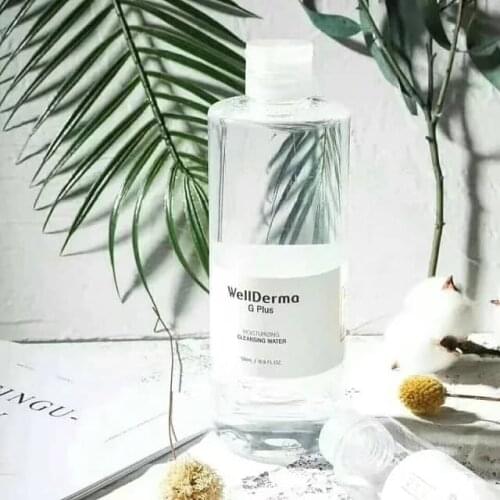 Wellderma Makeup Products