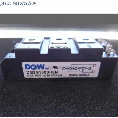 FREE SHIPPING GOOD QUALITY MODULE DM2G100SH6N