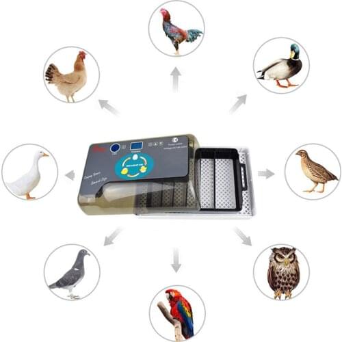 Behogar Intelligent Digital Incubator Machine Adjustable Egg Tray Auto Turn Poultry Hatcher for Chickens Ducks Goose Birds Eggs