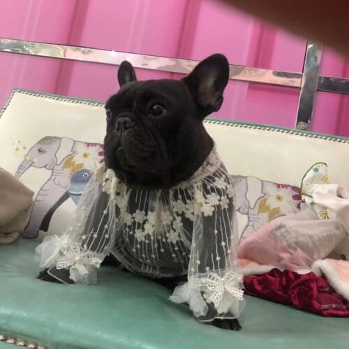 Lace Dog Shirt Summer Dog Clothes Costume Puppy Yorkshire Cat Pomeranian Poodle Bichon Schnauzer Pug French Bulldog Clothing New