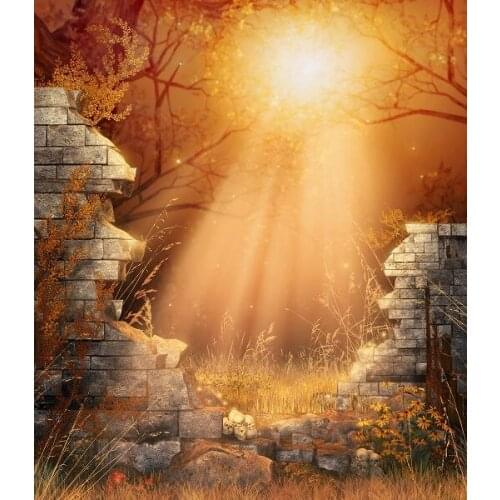 VinylBDS 150x220cm(5x7ft) photography backdrops halloween Collapse of the wall strange moonlight background for studio ZJ