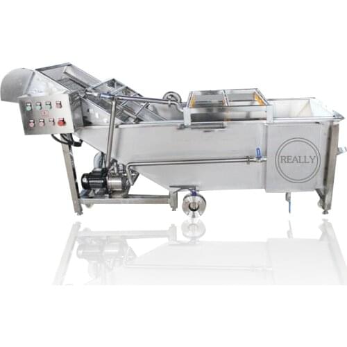 Commercial Customized Fruit And Vegetable Bubble Ultrasonic Washing Machine For Various Food Pross Industry