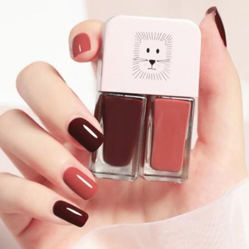 6ml x 2 Matte Nail Polish Nail Need Base Top Coat Gel Nail Polish Water-proof Dry Quickly Resin Matte Nail Polish Set for Beauty