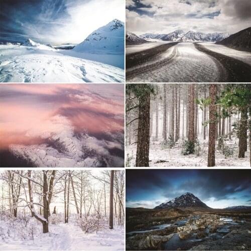 ZHISUXI Vinyl Custom Photography Backdrops Snow Winter Photography Background YA20721-02