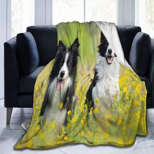 Border Collie Dog Flannel Fleece Throw Blanket Living Room Bedroom Sofa Couch Warm Soft Bed Blanket for Kids Adults All Season
