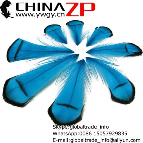CHINAZP Factory Cheap Wholesale 100pcs/lot Best Quality Dyed Blue Lady Amherst Pheasant Tippet Feather