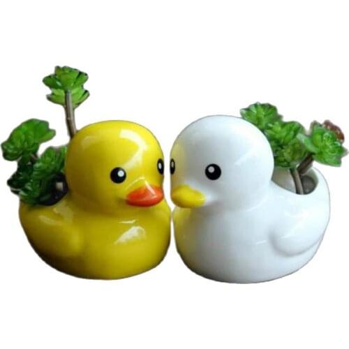 Korean Ins Cartoon Cute Duck Ceramic Succulent Flower Pots Planter Desktop Hydroponic Vase Ornaments Home Creative Gardening