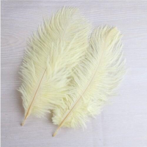 Holiday Decorations 10pcs Beautiful Brown Ostrich Feathers 6-8 Inches/15-20 Cm DIY Wholesale Decoration Plume Plumas