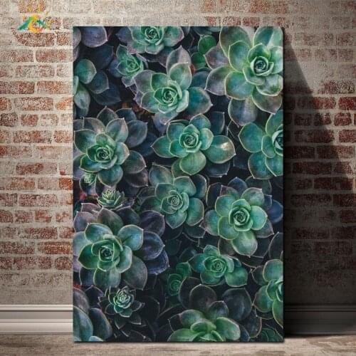 Succulent Escheveria Green Plants Posters And Prints Wall Art Canvas Painting Nordic Poster Home Decoration Wall Pictures