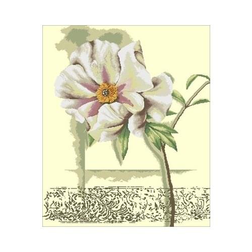 45-Lanarte 34879 Counted Cross Stitch Kit Cross stitch RS cotton with cross stitch Magazine money