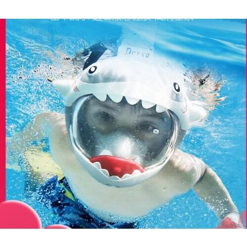 Snorkeling Three Pieces Diving Mask Equipment Snorkeling Mask Full-Dry Breathing Tube Face Mirror Childrens Swimming Equipment