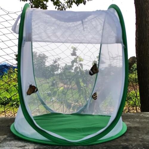 Insect Cage Foldable Easy to Carry Green Insect Mesh Cage Terrarium for Garden Insect Cage