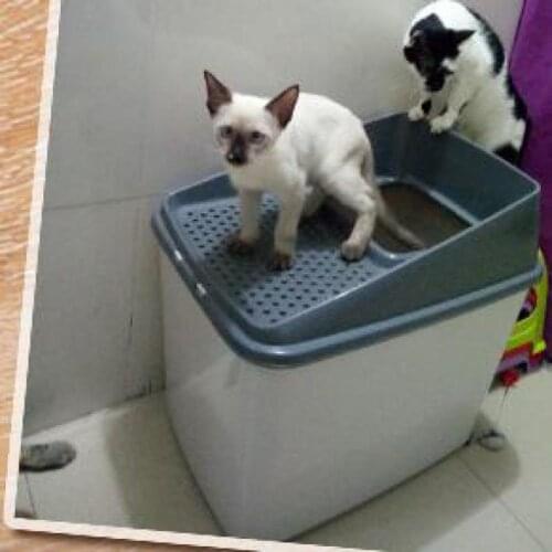 Fully Enclosed Afp Deodorizing Super Large Cat Toilet With Top-in Cat Sandbox
