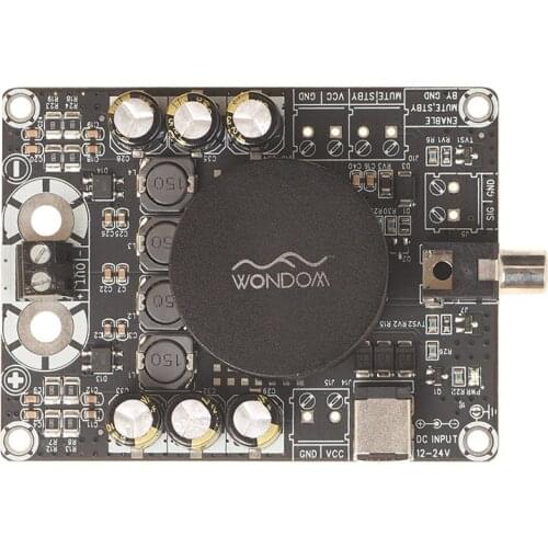 1 x 100Watt High Power Class D Amplifier Board - TPA3116 Mono Audio Amplifier Module For Home Speaker DIY