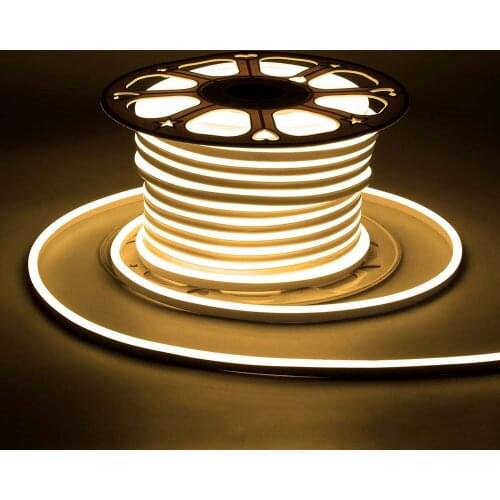 DC 12V Neon Strip Light indoor outdoor flexible Waterproof 2835 SMD Commercial LED Ribbon tube strip 1m 5m 20m 50m 100m