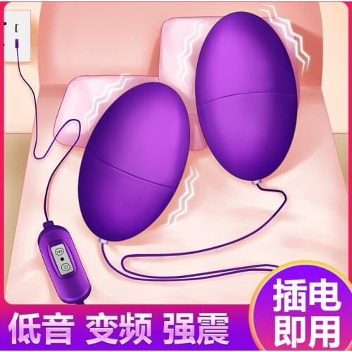 MizzZee Egg jumping 12 speeds USB Concealment clitoris stimulator waterproof purple bass vibrators for women