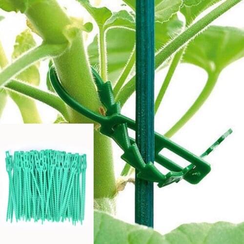 20/100PCS Reusable Plastic Plant Support Clamp Hanging Vine Garden Greenhouse Vegetable Tomato Attache Pour Plantes Grimpante