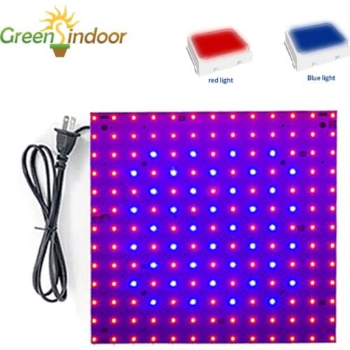 Plant Led Lamp Flowers Seedlings Indoor Grow Light Full Spectrum Phytolamps Growing Led Lights Red And Blue Greenhouse 20W 40W