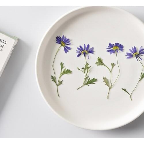 12pcs Malan Flower preschool teaching DIY candel making plant specimen material glue dried flower mobile phone case